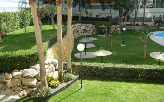 Bestaande bouw - Apartment - Benidorm - Rincón de Loix