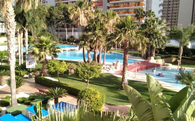 Reventa - Apartment - Benidorm - Rincón de Loix