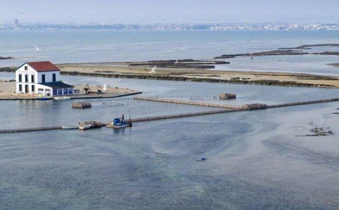 New Build - Villa - San Pedro del Pinatar - Centro