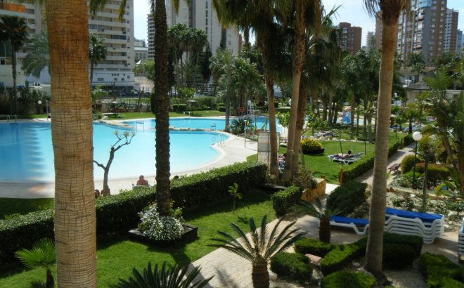 Bestaande bouw - Apartment - Benidorm - Rincón de Loix