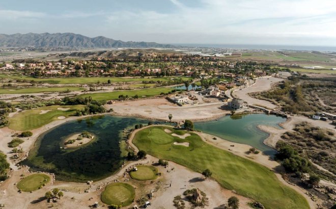 Nieuwbouw Woningen - Villa - Cuevas del Almanzora - Villaricos