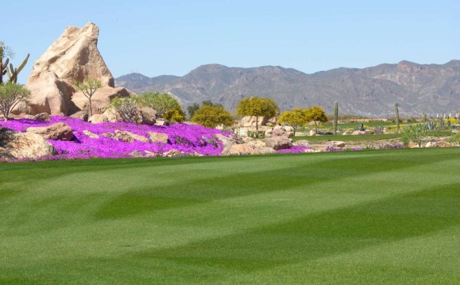 Bestaande bouw - Apartment - Cuevas del Almanzora - Villaricos