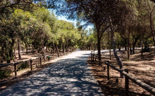 New Build - Apartment - Guardamar del Segura