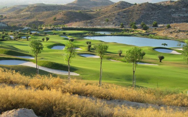 Obra nueva - Apartment - Monforte del Cid - Font del Llop