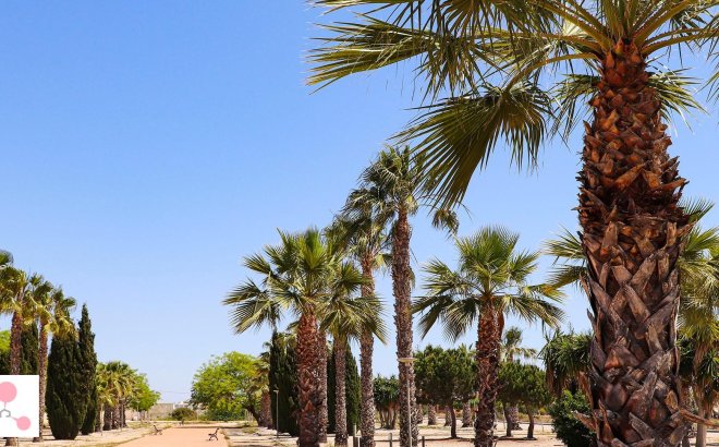 Nieuwbouw Woningen - Villa - San Fulgencio - La Escuera