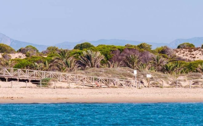 Nieuwbouw Woningen - Apartment - Guardamar del Segura - Pueblo