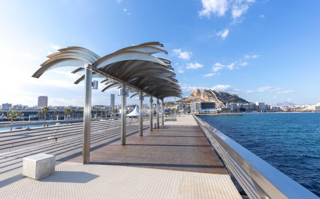 Nieuwbouw Woningen - Apartment - Alicante - Centro