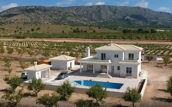 Nieuwbouw Woningen - Villa - Pinoso - Camino Del Prado