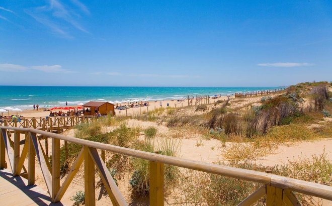 Nieuwbouw Woningen - Penthouse - Guardamar del Segura - Pueblo