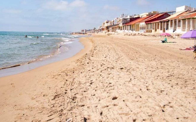 Obra nueva - Apartment - Guardamar del Segura - Pueblo