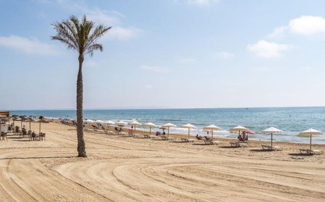 Obra nueva - Apartment - Guardamar del Segura - Pueblo