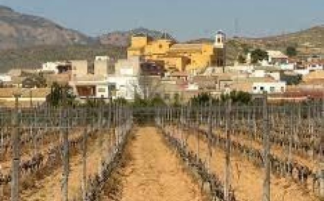 Nieuwbouw Woningen - Bungalow - Hondón de las Nieves - El Salero