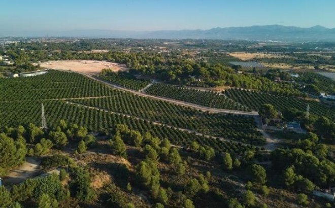 Obra nueva - Ático - Godella - Campolivar